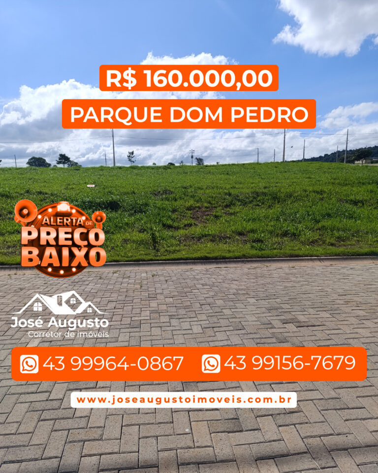 PARQUE DOM PEDRO PREÇO BAIXO-01